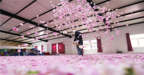 南通海安 栽下产业“花” 结出振兴“果”