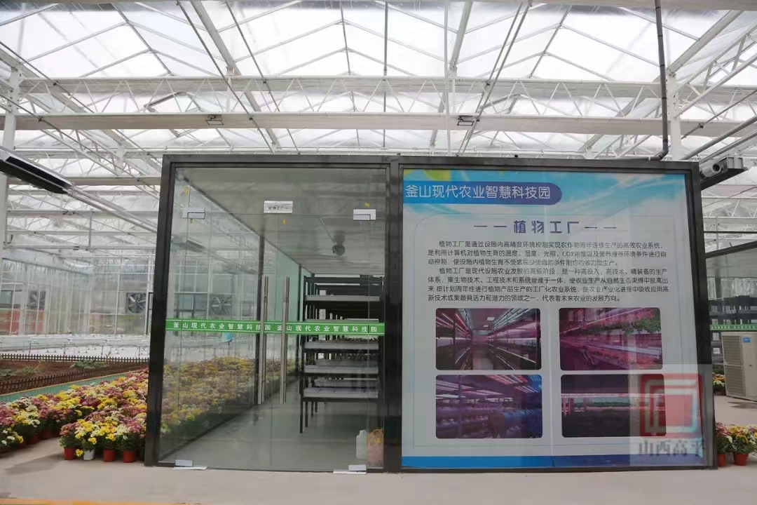 9000㎡智慧绽放 生能空气能如何赋能山西最大农业科技园的花卉产业