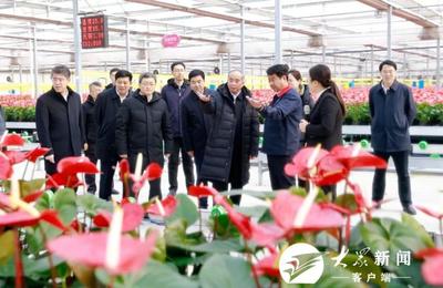 花卉 自然之美与人文之思