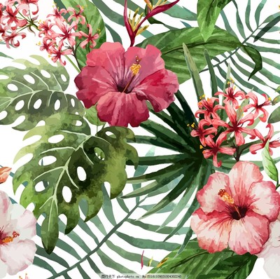 手绘热带花卉 以笔触捕捉热带风情
